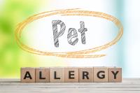 How to reduce allergies to your pet rodent image 2